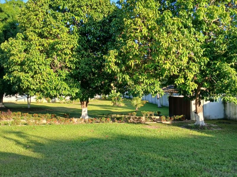 Foto 4 da clínica Clínica de Recuperação na Bahia