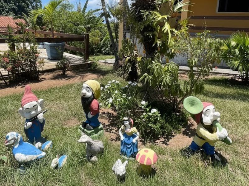 Foto 32 da clínica Clínica de Recuperação em Camaçari