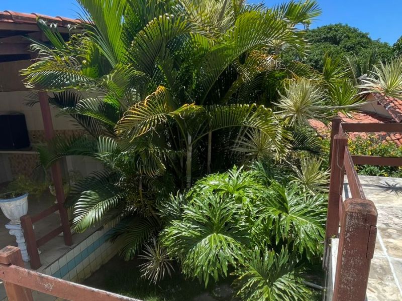 Foto 4 da clínica Clínica de Recuperação em Salvador